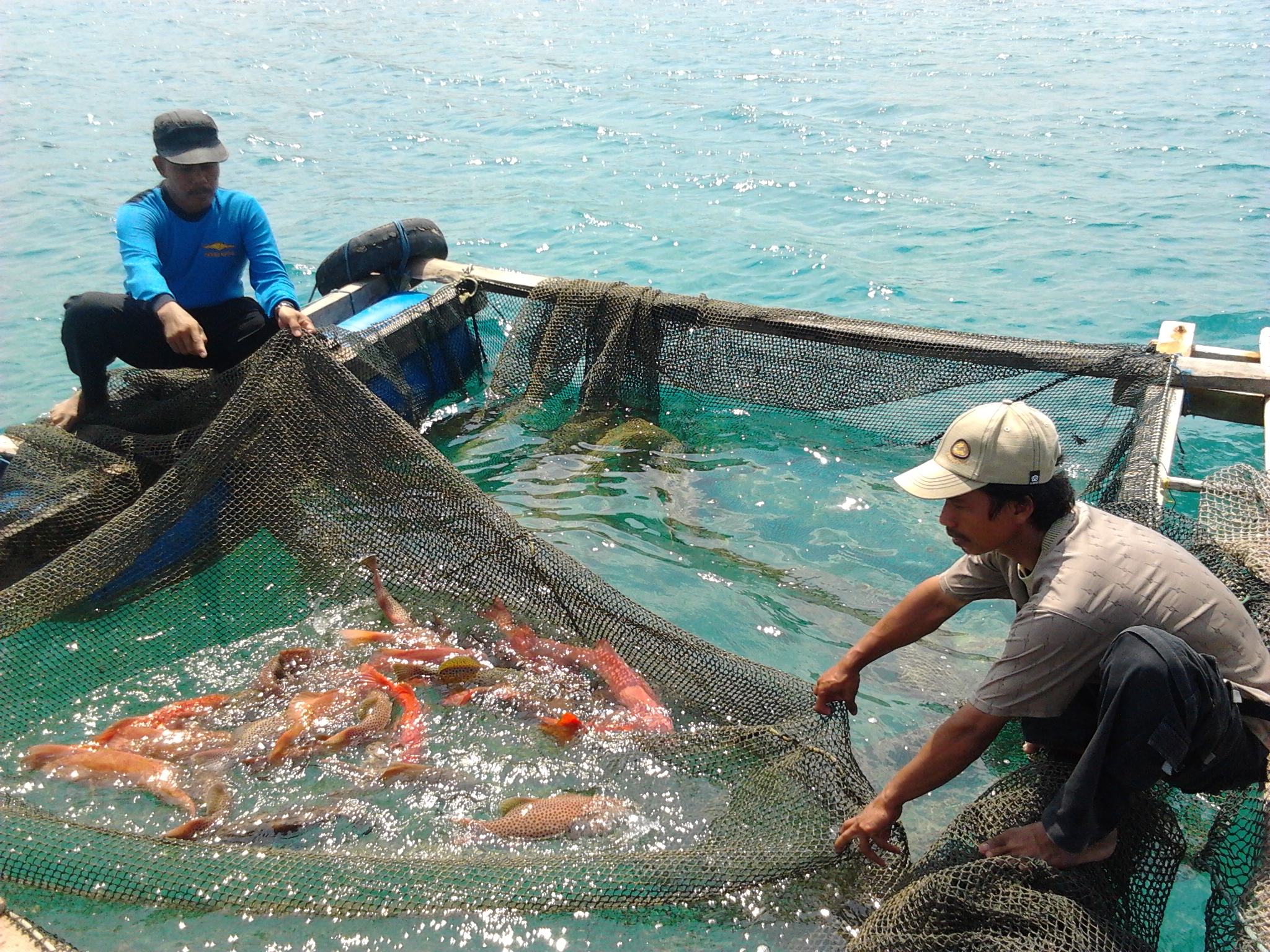 Image result for nelayan menangkap ikan di laut